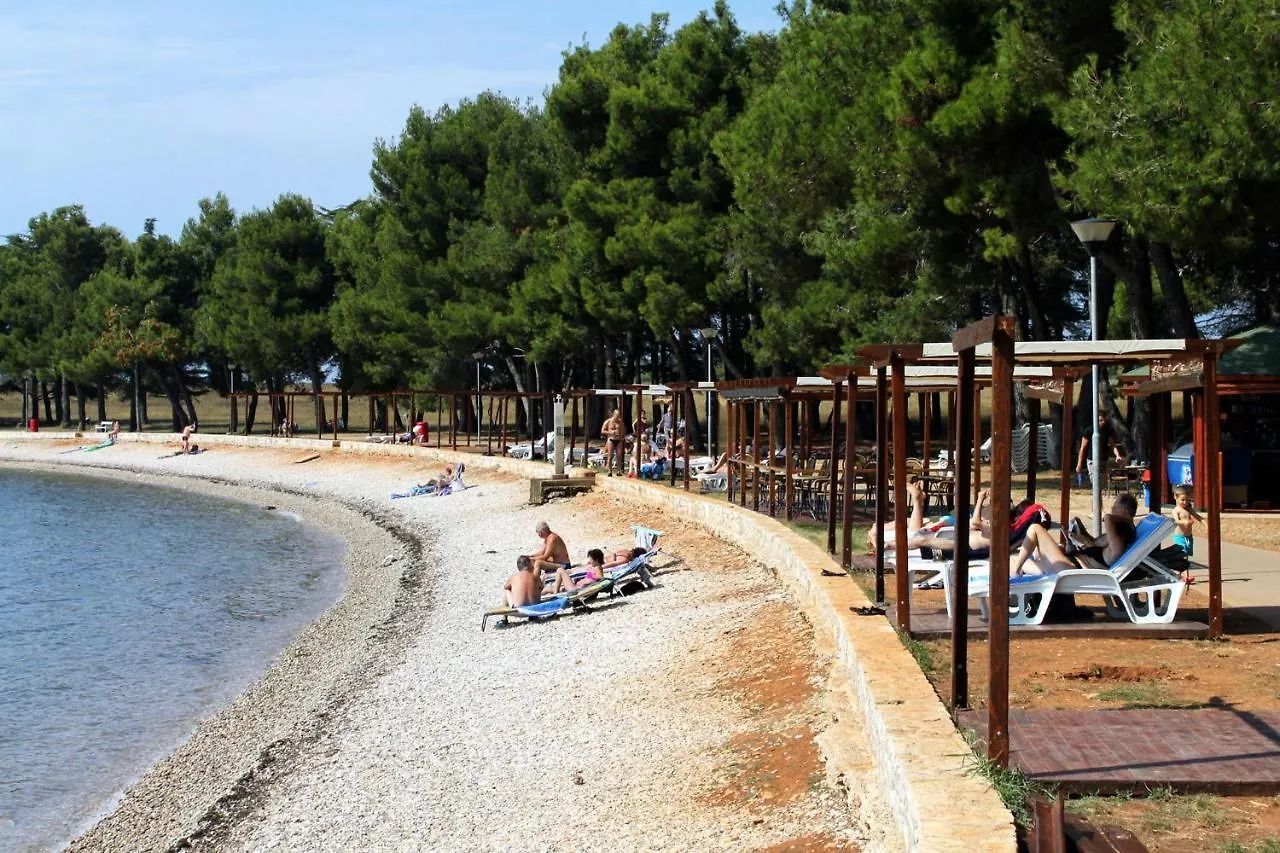 Apartments With A Parking Space Novigrad - 7037